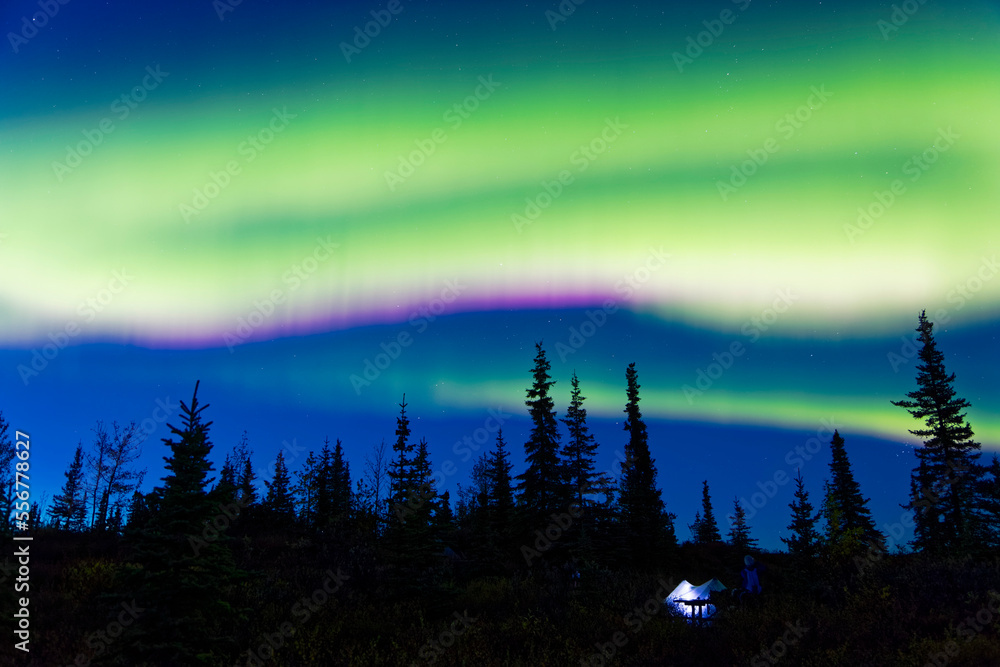 Northern Lights dancing over tundra hill in Denali National Park and