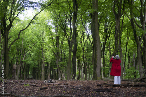 A woman in a red coat stands looking up with a camera, photographing nature in a woodland; Veluwe Vierhouten, Gelderland, Netherlands photo