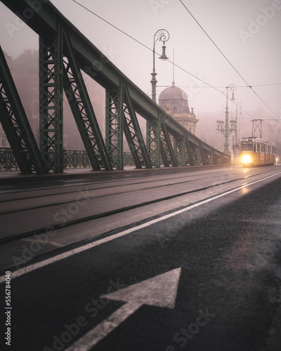 Photography Liberty Bridge in Budapest on a foggy day