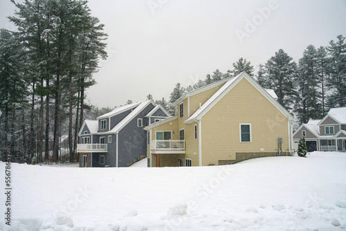 Winter houses in snow storm 