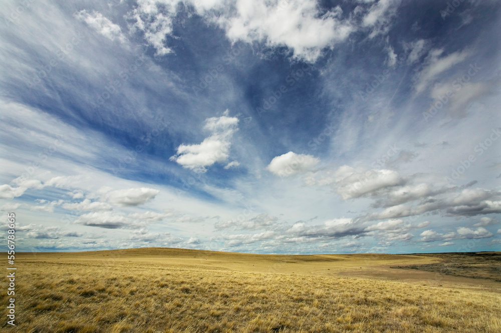 Pampas grassland near Laguna Ana, Pali Aike National Park, near Punta Arenas in Chile; Patagonia, Chile Pampas grassland near Laguna Ana, Pali Aike National Park, near Punta Arenas in Chile; Patagonia, Chile