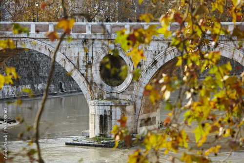 Autumnal leaves and the Ponte Sisto, Rome, Italy.; Rome, Italy. photo