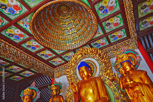 Buddha statues in the main hall at Chenxiangge Nunnery, Shanghai, China.; Nanshi, Old Town, Shanghai, China. photo