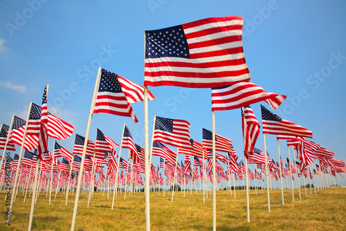 An abundance of American flags in rows in a grass field with a blue sky; Oregon, United States of America photo