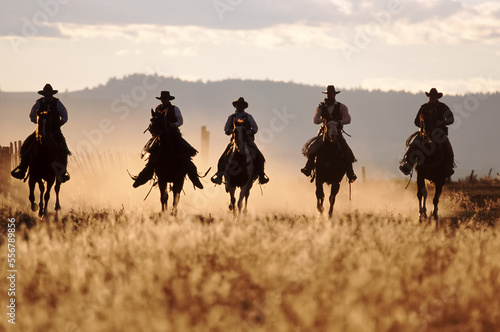 Five cowboys riding horses in a row; Seneca, Oregon, United States of America photo