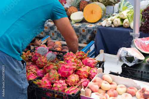 Hombre de espaldas con camiseta azul trabajando en el mercado callejero de Costa Teguise en un puesto de frutas tropicales con cajas llenas de fruta del dragón o pitahaya en Lanzarote, Islas Canarias photo
