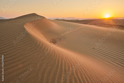 Rippled sand dunes in sunset light, Ebro River Delta; Catalonia, Spain photo