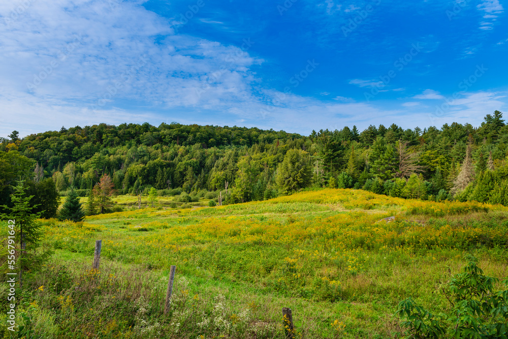 Rural landscape in the Laurentides of Quebec; Quebec, Canada Rural landscape in the Laurentides of Quebec; Quebec, Canada
