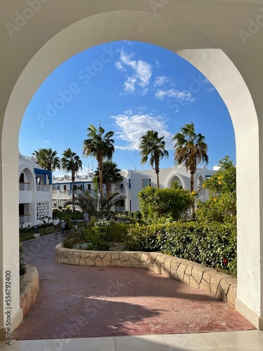 Palm trees seen from an arch, summer vacation