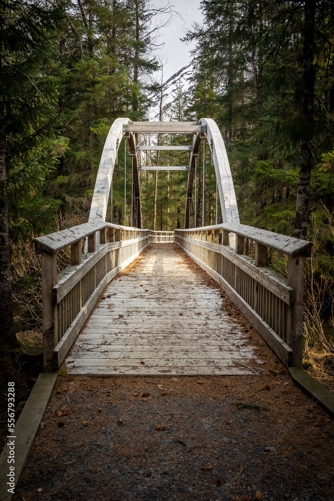 A wooden bridge and boardwalk pathway through the Trail of Blue Ice in the Portage Valley at Chugach National Forest; Alaska, United States of America A wooden bridge and boardwalk pathway through the Trail of Blue Ice in the Portage Valley at Chugach National Forest; Alaska, United States of America