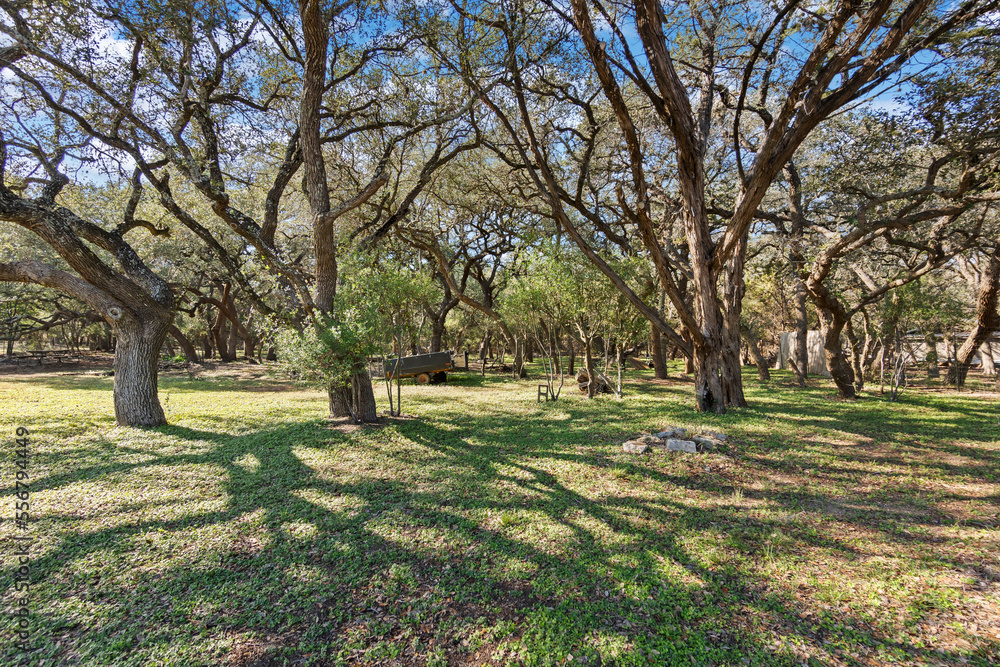 Obraz premium rural land 