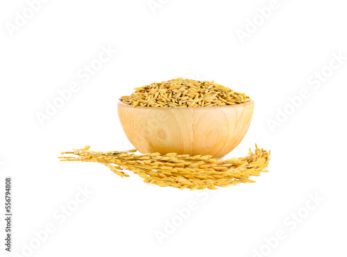 Paddy seeds in wooden bowl on  transparent png