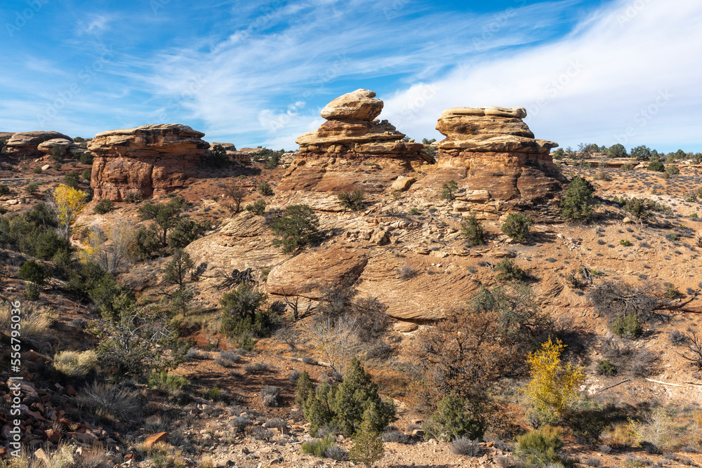Stacked rocks and flowing rock in Canyonlands National Park; Moab, Utah, United States of America Stacked rocks and flowing rock in Canyonlands National Park; Moab, Utah, United States of America
