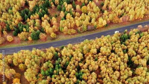 an autumn forest steeet with traffic from above 4k 30fps video photo