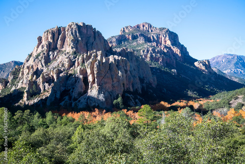 Rugged cliffs above fall colored Sycamore trees in Cave Creek Canyon in the Chiricahua Mountains of Southeast Arizona; Portal, Arizona, United States of America photo