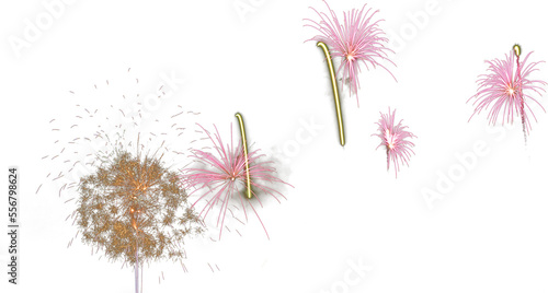 Isolated pink and gold fireworks overlay