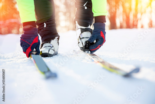 Process man puts on his cross country skis and fastens boots. Concept winter sport on snowy track, sunset sun light background
