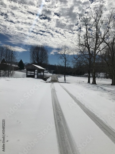 winter landscape with snow