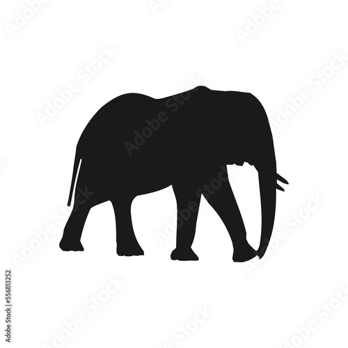 Elephant Silhouette Vector. Animal illustration symbol in trendy style. Large mammals from the family Elephantidae and the order Proboscidea. Suitable for various purposes.
