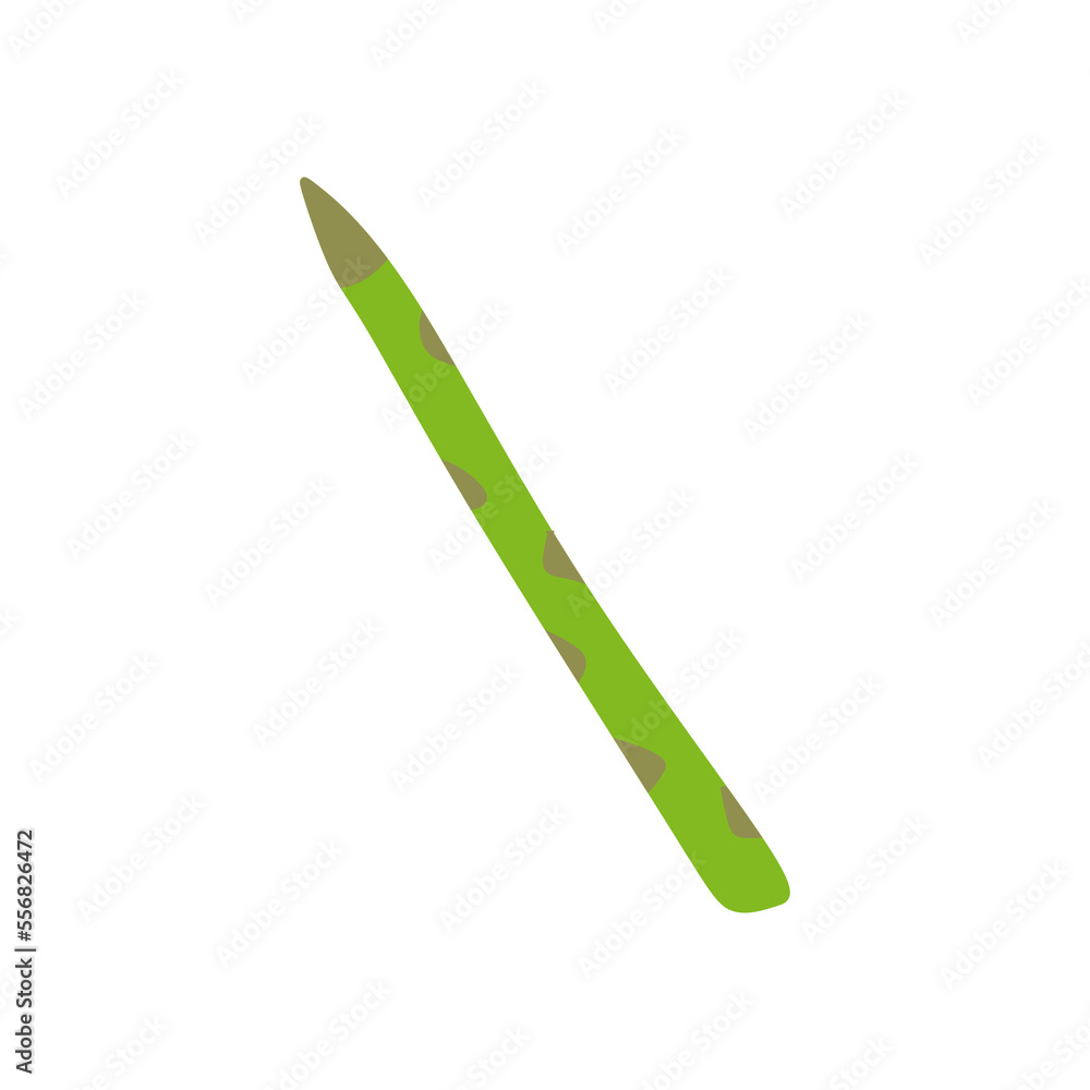 vector illustration, fresh asparagus, flat cartoon design style. editable graphic resources for many purposes. vector illustration, fresh asparagus, flat cartoon design style. editable graphic resources for many purposes.