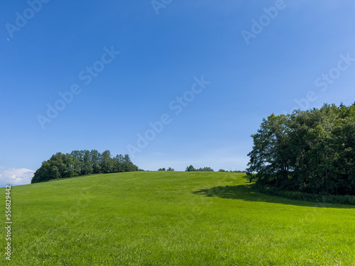 Summer hills and sky with meadows