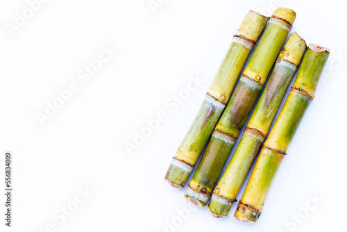 Sugar cane on white background.