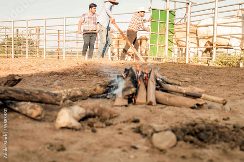 Cowboys with a campfire to heat a traditional branding iron heated on a fire to brand the animal, identify them and show ownership. photo