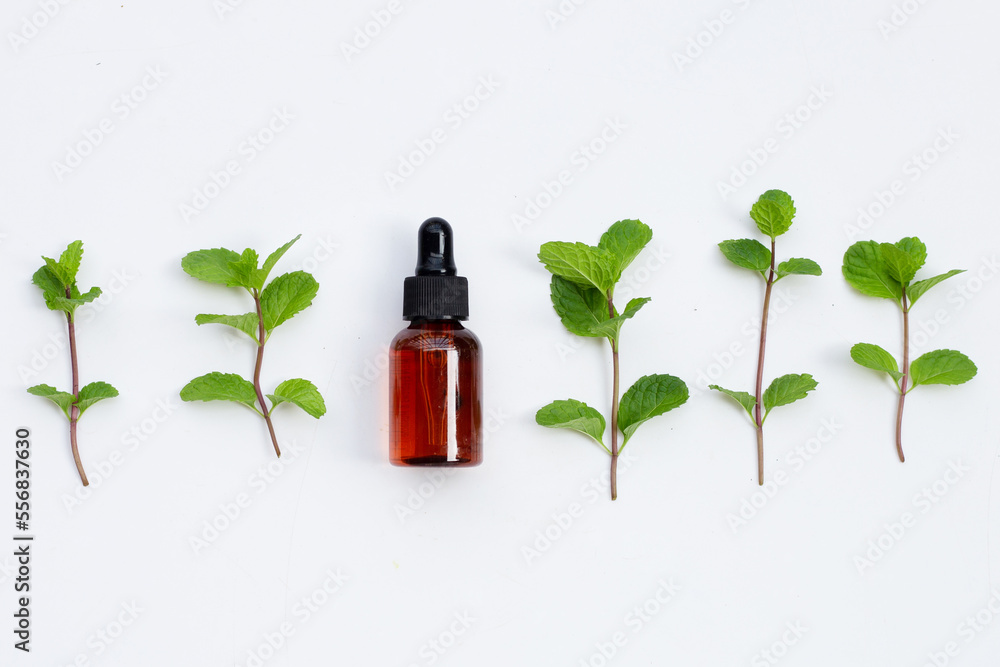 Fresh mint leaves with essential oil Fresh mint leaves with essential oil