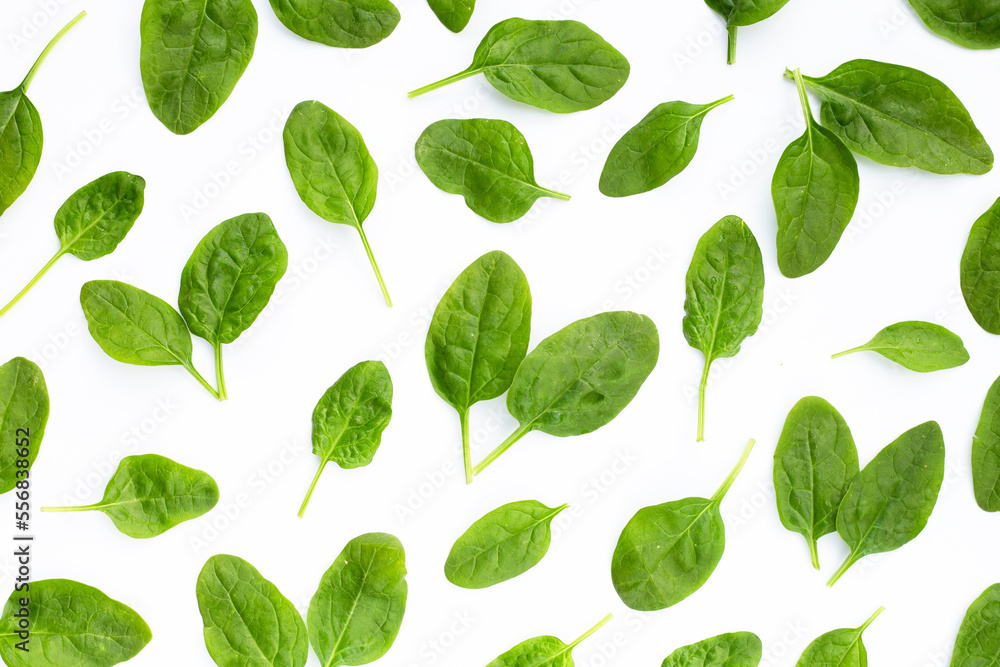 Spinach leaves on white background. Spinach leaves on white background.