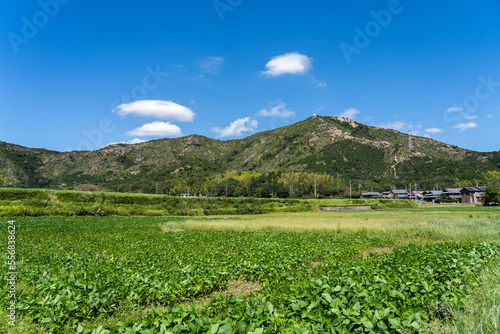 晴天の高御位山