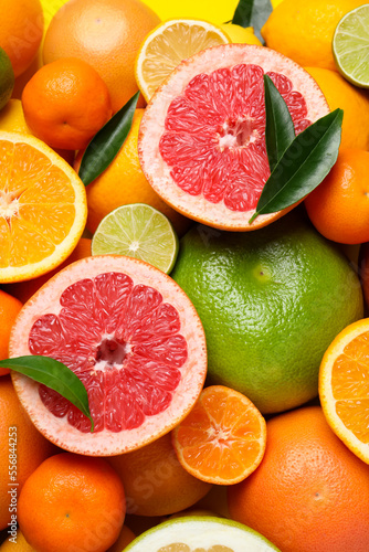 Different ripe citrus fruits with green leaves as background, top view