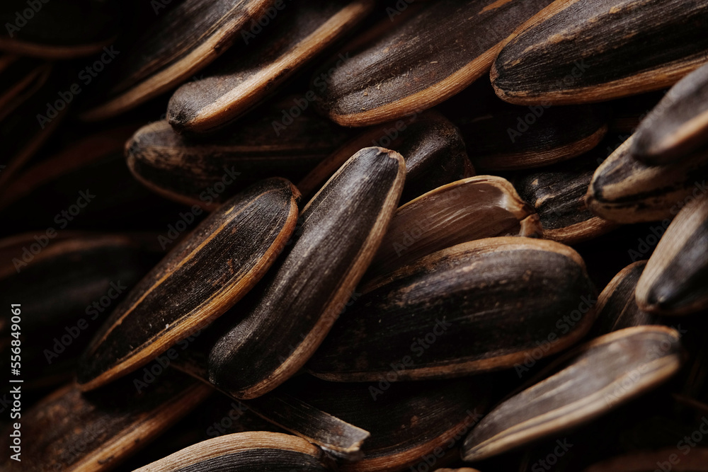 Sunflower seeds are technically the fruits of the sunflower plant Helianthus annuus Sunflower seeds are technically the fruits of the sunflower plant Helianthus annuus