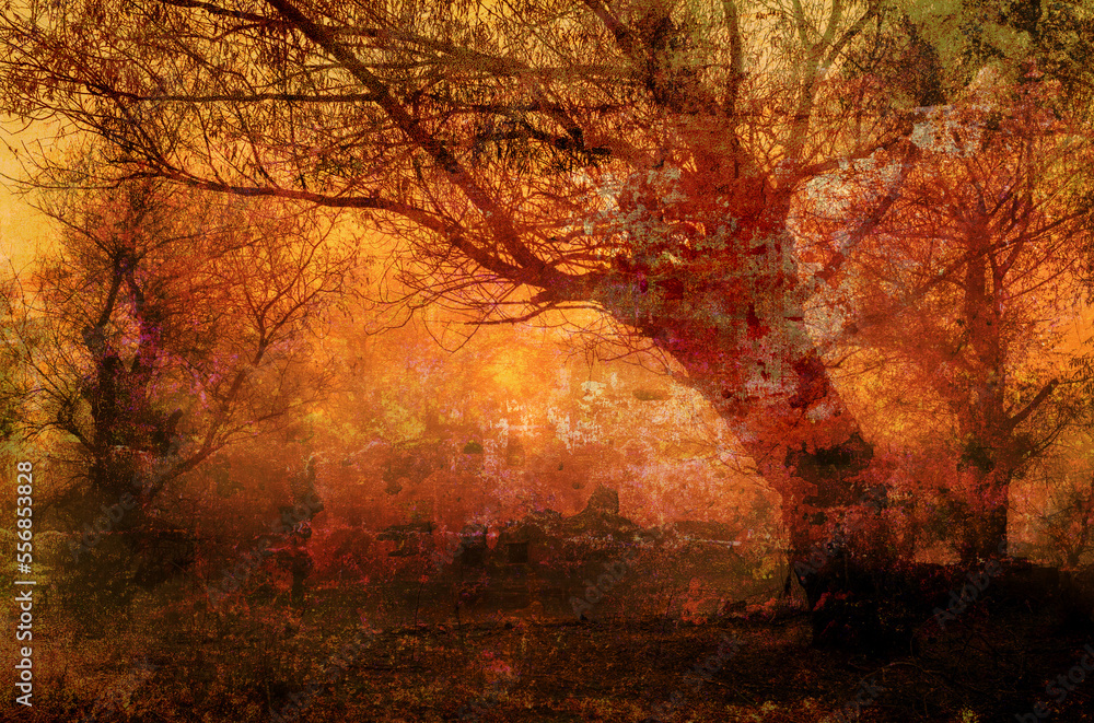 Art grunge landscape showing creepy forest in autumn