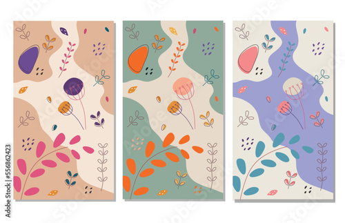 Set of botanical template with organic shape for story background, card, flayer or newsletter, branding or cover