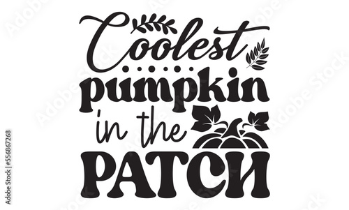 Coolest pumpkin in the patch svg  Pumpkin svg  Pumpkin t shirt design And svg cut files and Stickers  Pumpkin Stickers quotes t shirt designs  Pumpkin and Fall hand lettering typography vector