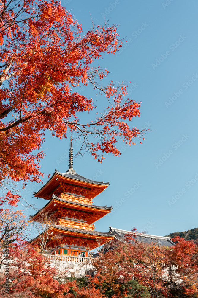 Kiyomizu-dera Temple and autumn maple in Kyoto, Japan Kiyomizu-dera Temple and autumn maple in Kyoto, Japan