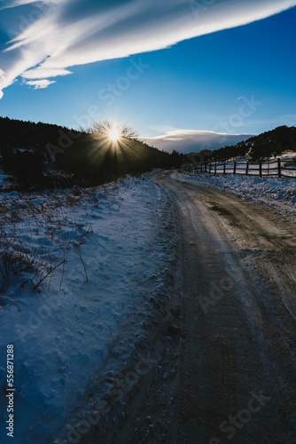 Wide open country dirt road with sun streaming through the trees on a snowy day