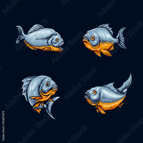 set of fish piranha photo