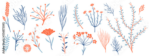 set collection plants flowers and leaves - hand draw vector. Drawing beautiful plants, and decorative set with colours