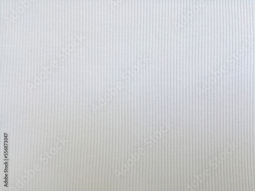 white paper or canvas texture background.