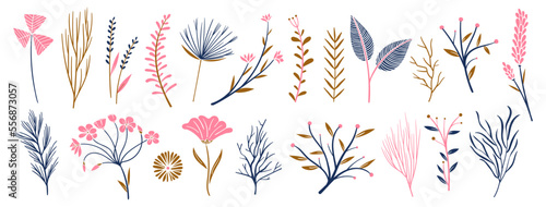 set collection plants flowers and leaves - hand draw vector. Drawing beautiful plants, and decorative set with colours