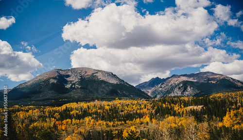 Driving down a highway in the fall through the Rocky Mountains