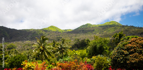 Hawaii Lanscape 2