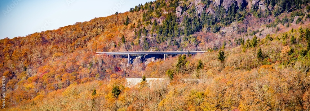 Linn Cove Viaduct nearGrandfather Mountain, North Carolina