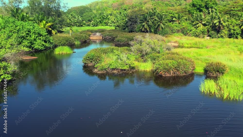 Drone shot of spectacular mangrove in the southern area of Mahe island, an untouched nature and prestige place to do kayaking and explore this amazing nature Drone shot of spectacular mangrove in the southern area of Mahe island, an untouched nature and prestige place to do kayaking and explore this amazing nature