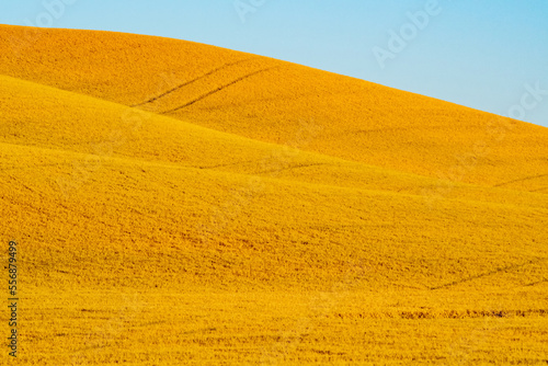 landscape scenes in palouse washington photo