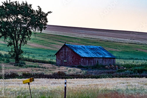 landscape scenes in palouse washington photo