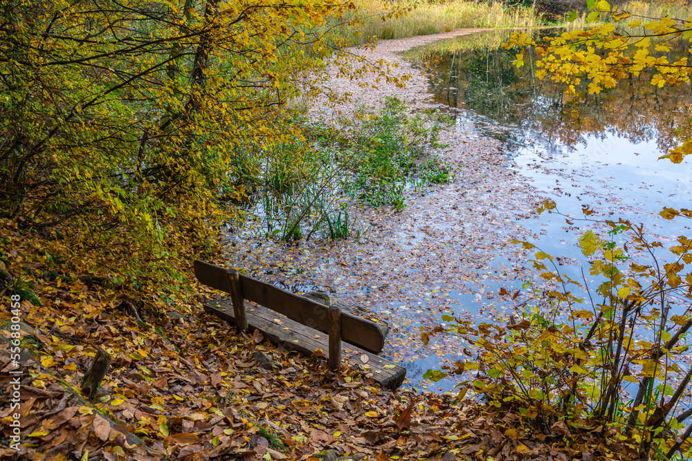 Monticolo lake in Autumn season - Appiano, Bolzano province, Trentino Alto-Adige, Italy, Europe -