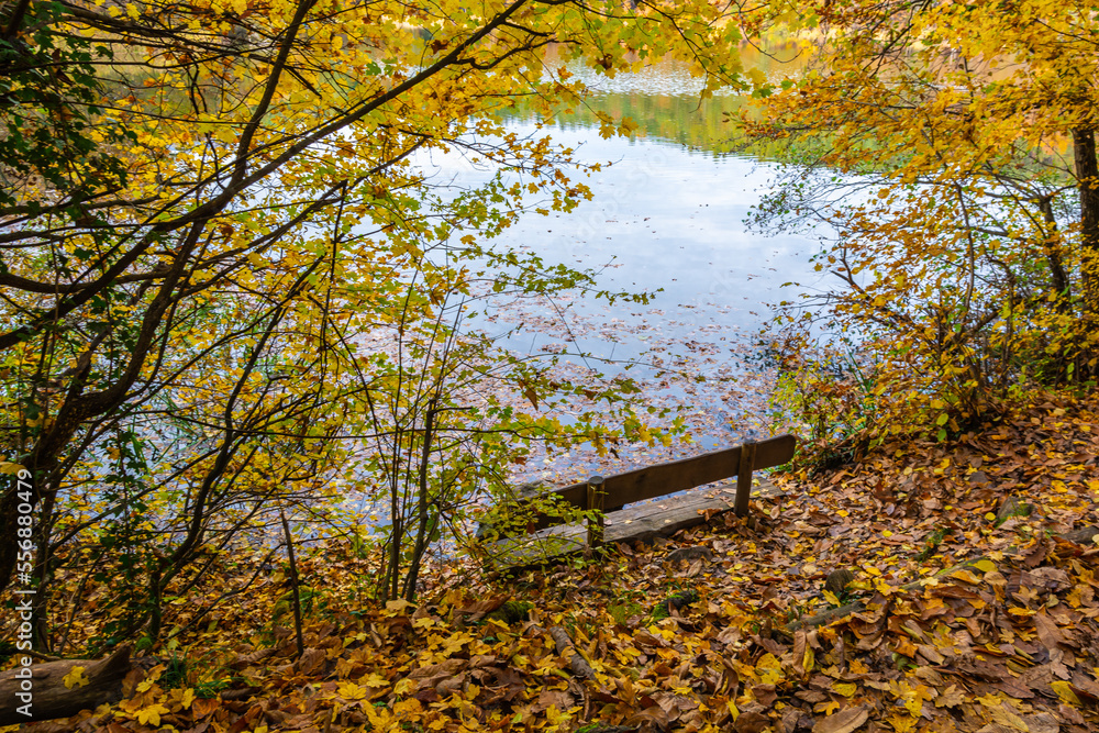 Monticolo lake in Autumn season - Appiano, Bolzano province, Trentino Alto-Adige, Italy, Europe - Monticolo lake in Autumn season - Appiano, Bolzano province, Trentino Alto-Adige, Italy, Europe -