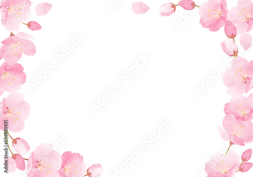Fototapeta Naklejka Na Ścianę i Meble -  水彩の桜の花のベクターイラストフレーム背景